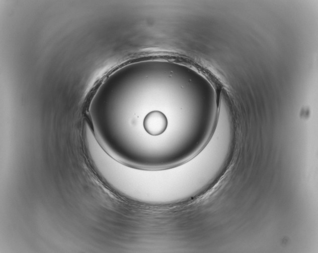 X0000093581357200710291053