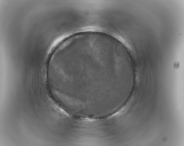 X0000093581358200710291053