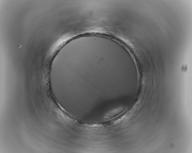 X0000093581359200710291053