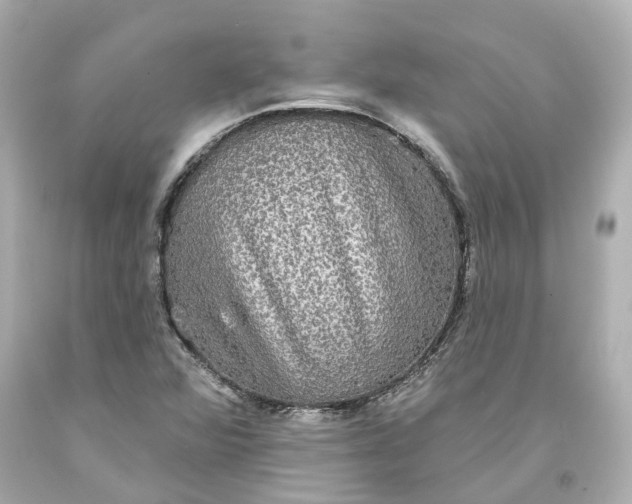 X0000093581360200710291053