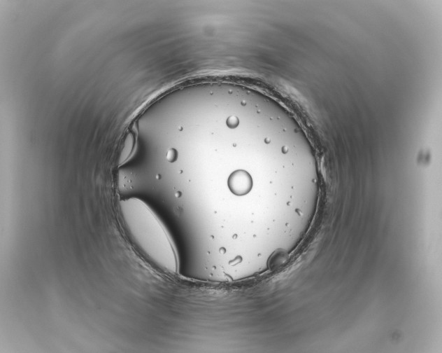 X0000093581361200710291053