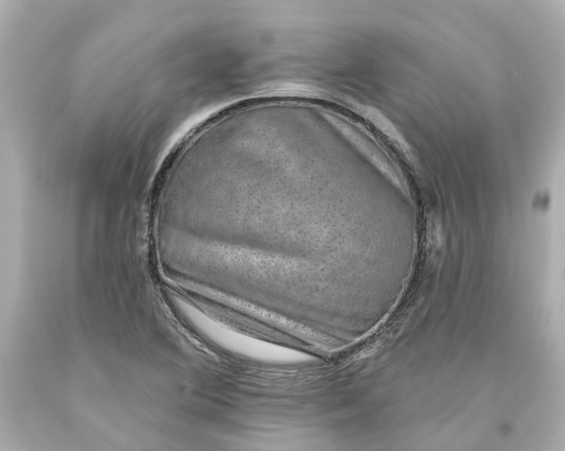 X0000093581364200710291053