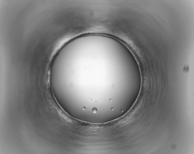 X0000093581366200710291053