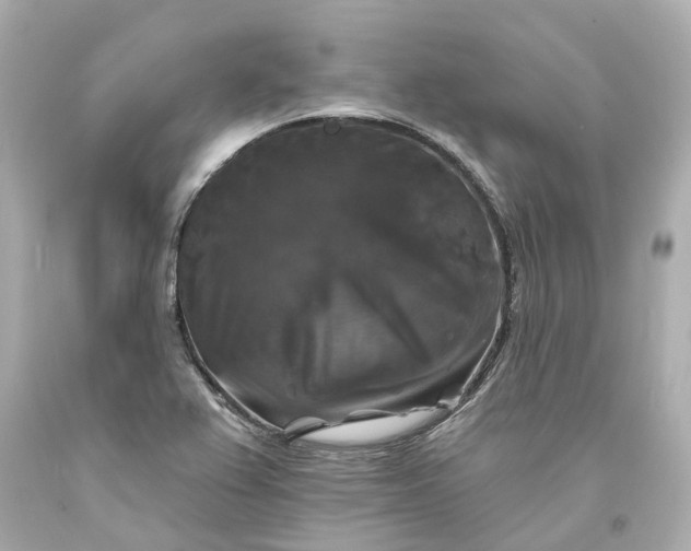 X0000093581367200710291053