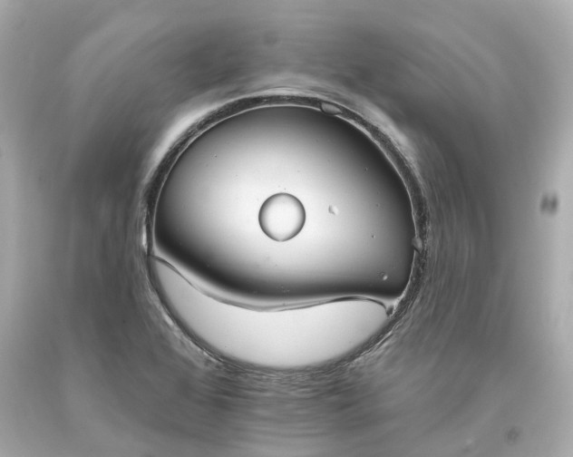 X0000093581368200710291053