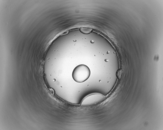 X0000093581369200710291053