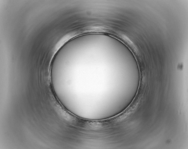 X0000093581370200710291053