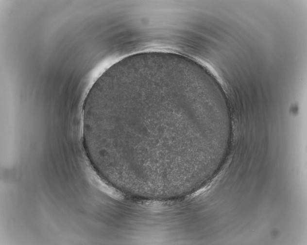 X0000093581371200710291053