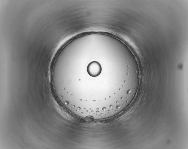 X0000093581372200710291053