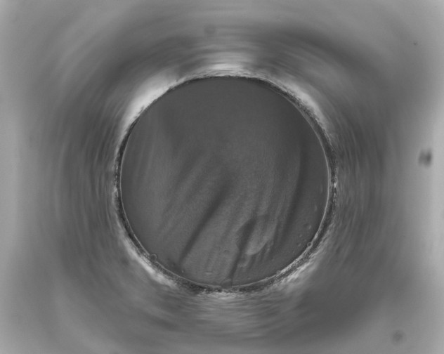 X0000093581373200710291052