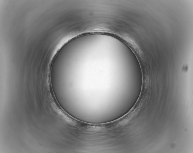 X0000093581374200710291052