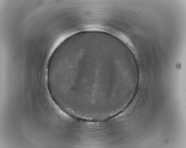 X0000093581376200710291052