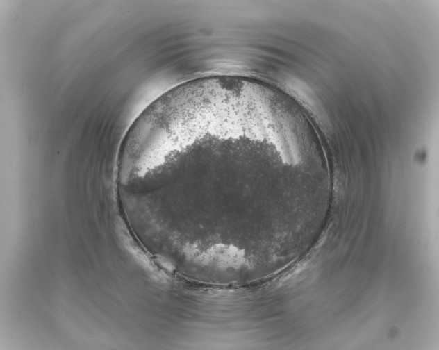 X0000093581378200710291052