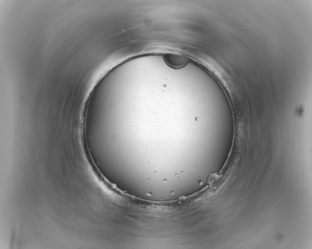 X0000093581379200710291052