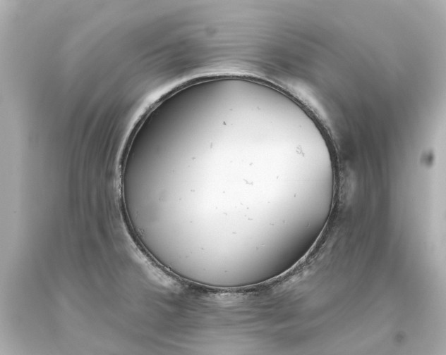 X0000093581380200710291052