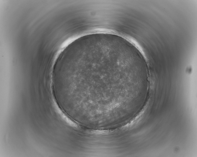 X0000093581381200710291052