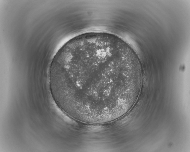 X0000093581382200710291052