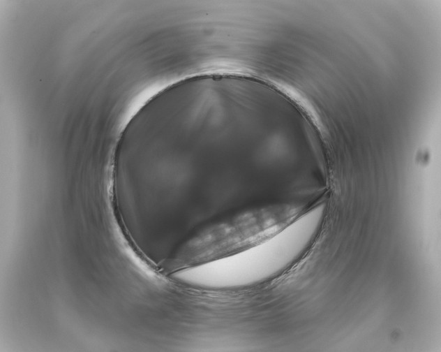 X0000093581383200710291052