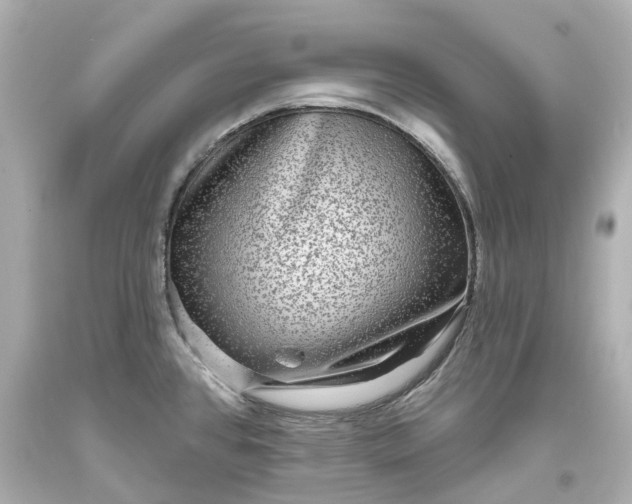 X0000093581384200710291052