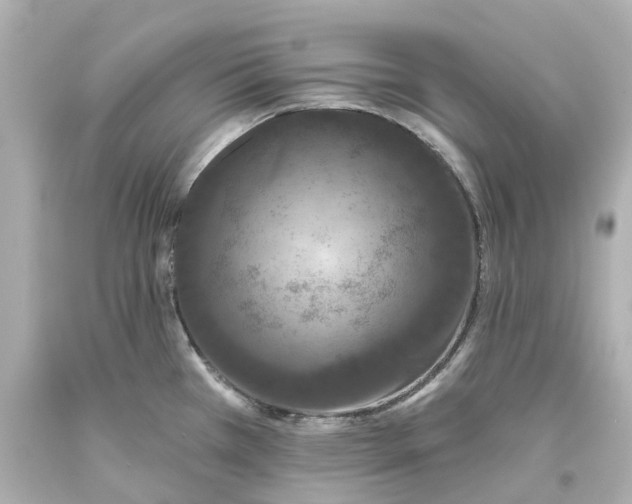 X0000093581385200710291052