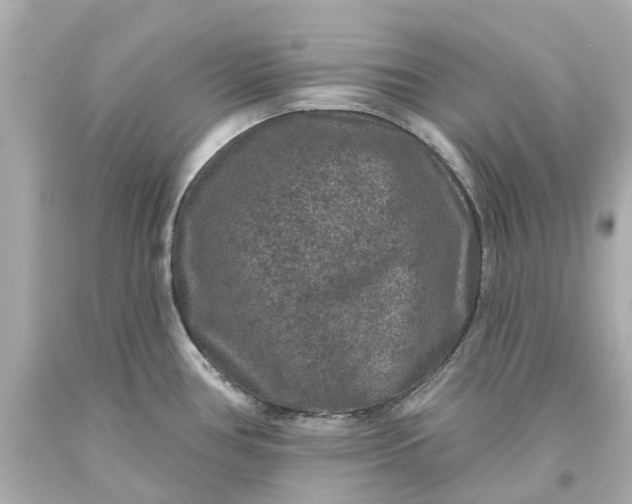 X0000093581386200710291052