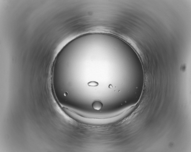 X0000093581387200710291052