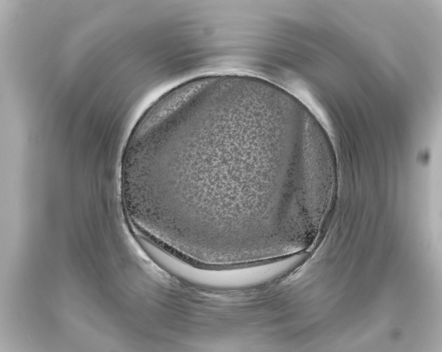 X0000093581388200710291052