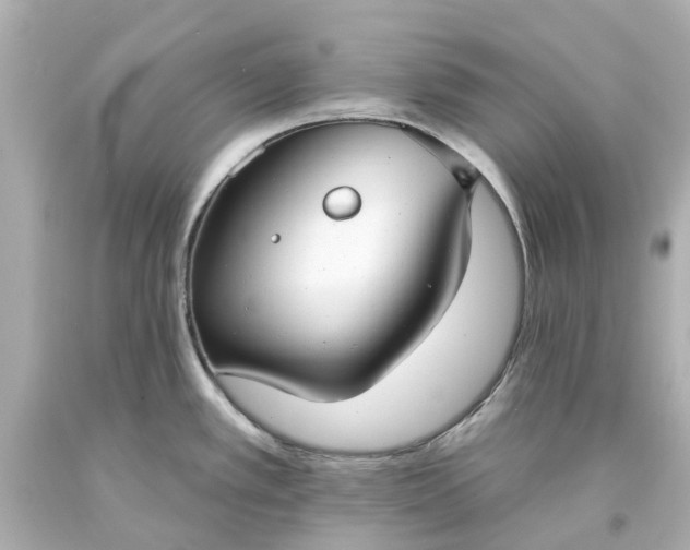 X0000093581389200710291052