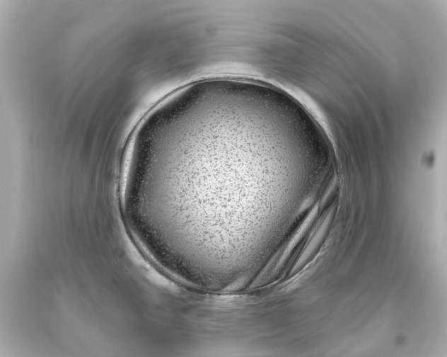 X0000093581390200710291052