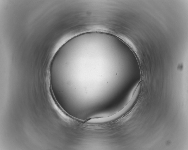 X0000093581391200710291052