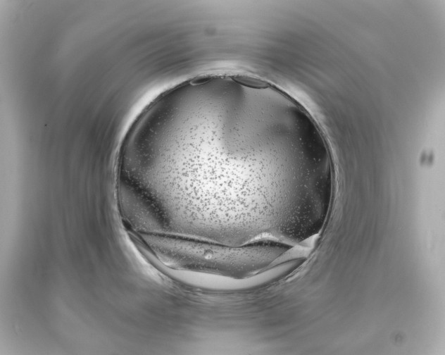 X0000093581392200710291052