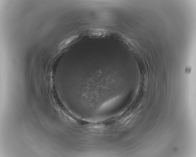 X0000093581394200710291051
