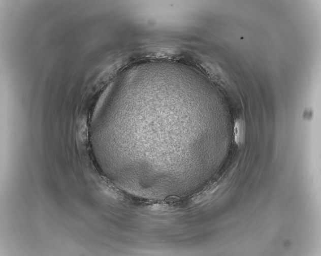 X0000093581395200710291052