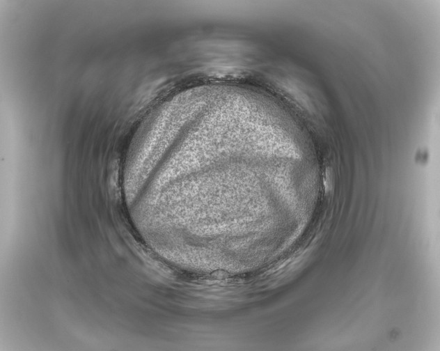 X0000093581396200710291052