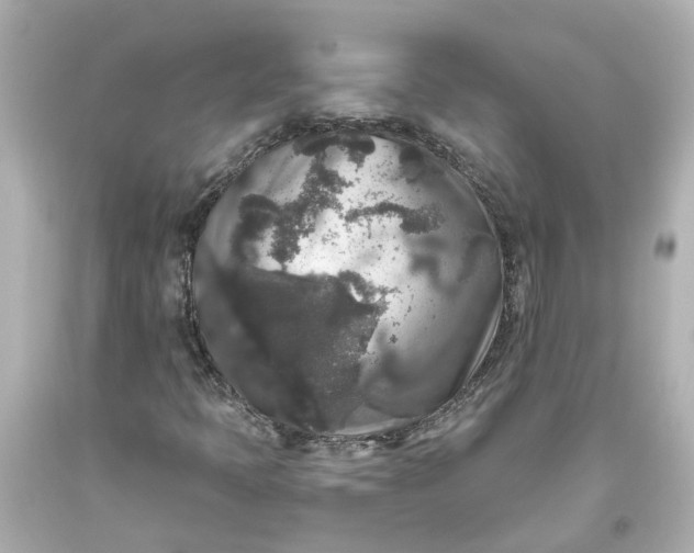 X0000093581397200710291052