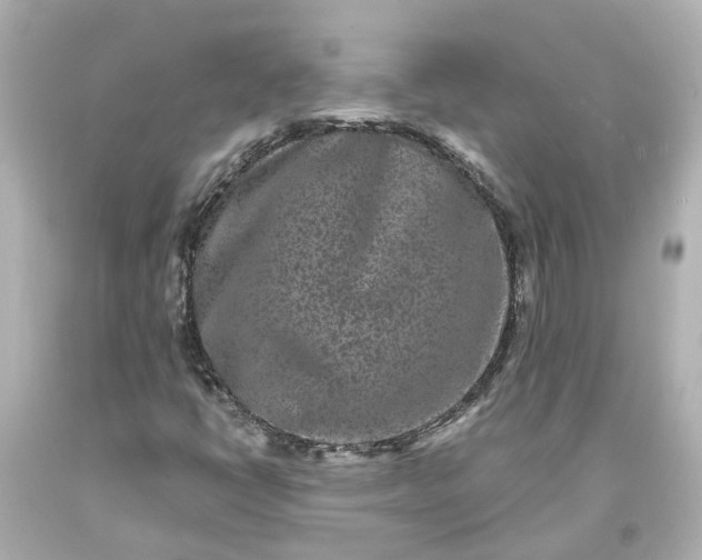 X0000093581398200710291052