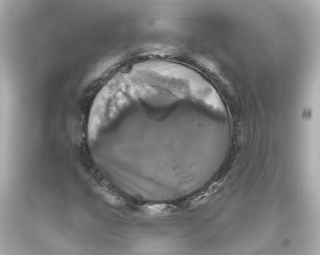 X0000093581399200710291052