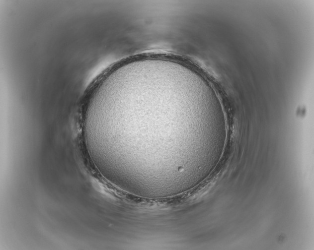 X0000093581400200710291052