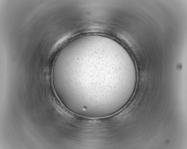 X0000093581403200710291052