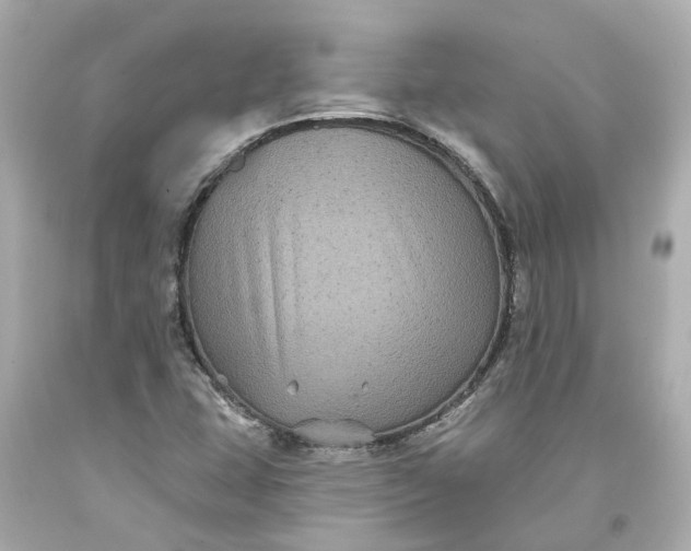 X0000093581407200710291052