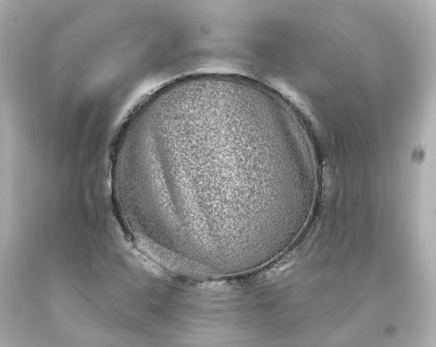 X0000093581408200710291052