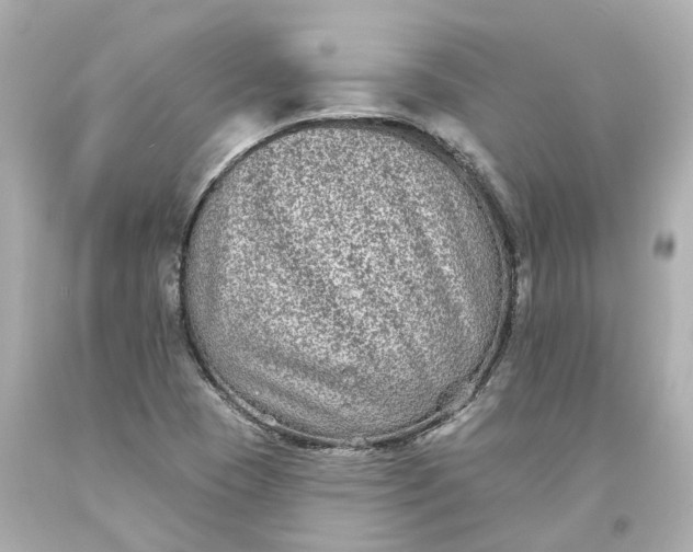 X0000093581409200710291052