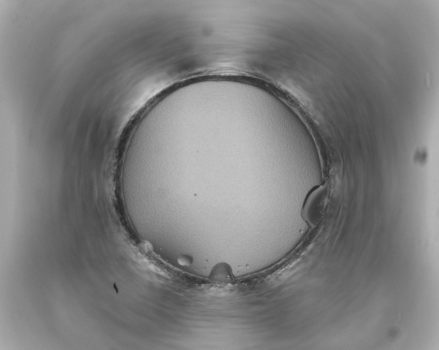 X0000093581410200710291052