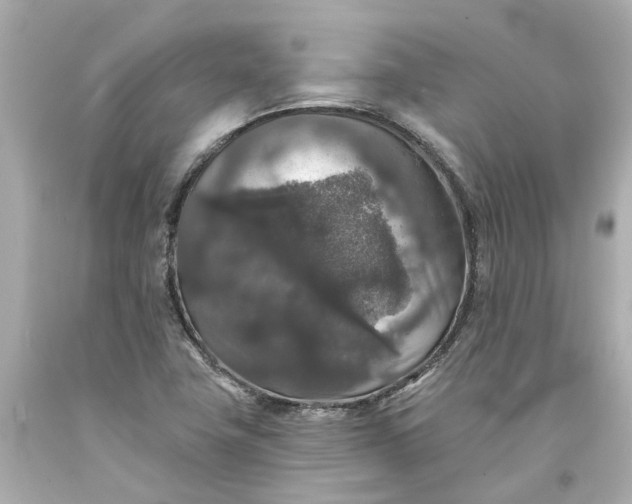 X0000093581411200710291052