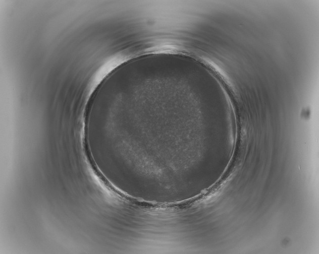 X0000093581418200710291052