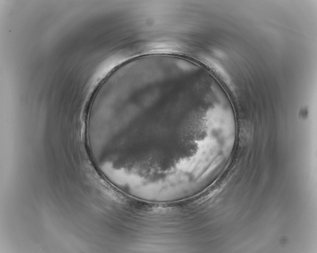 X0000093581419200710291052