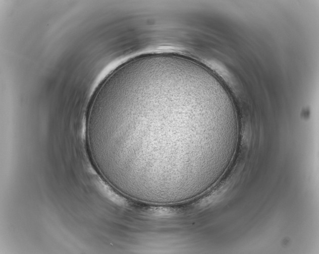 X0000093581420200710291052