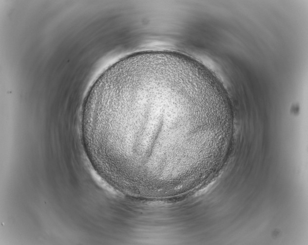 X0000093581421200710291052