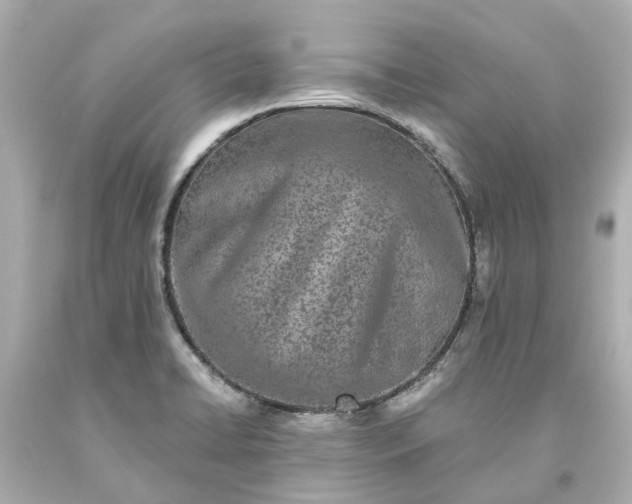 X0000093581422200710291052