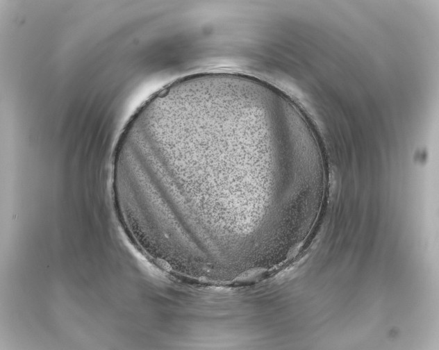 X0000093581424200710291052